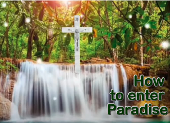 ></div>
						<div class=